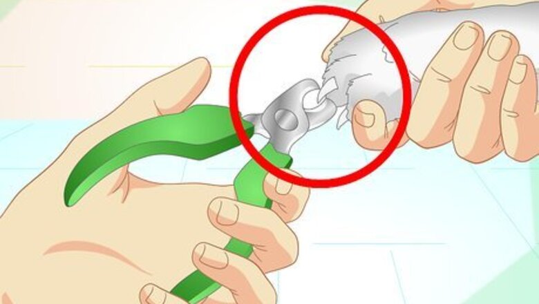 How to Inconspicuously Bathe a Cat Without Being Scratched
