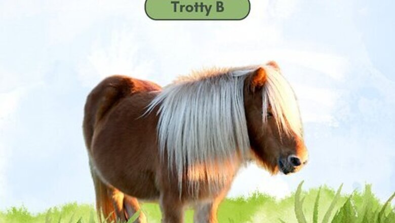 510+ Funny, Cool & Rare Horse Names