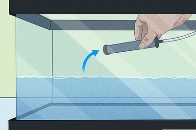 How to Clean an Air Stone