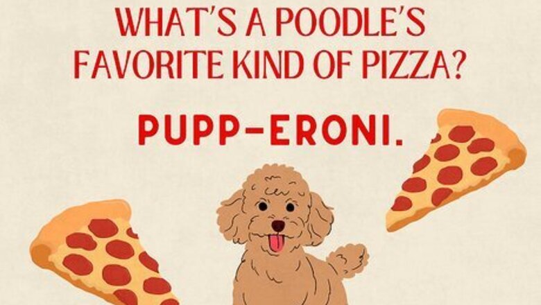 85+ Cheesy & Delicious Jokes About Pizza
