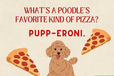 85+ Cheesy & Delicious Jokes About Pizza