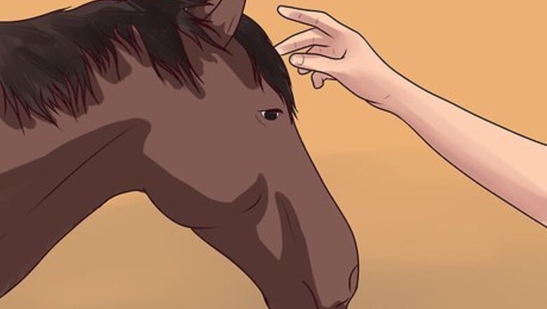 How to Dismount a Horse