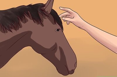 How to Dismount a Horse