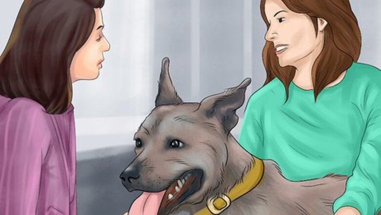 How to Feel Comfortable Around Big Dogs