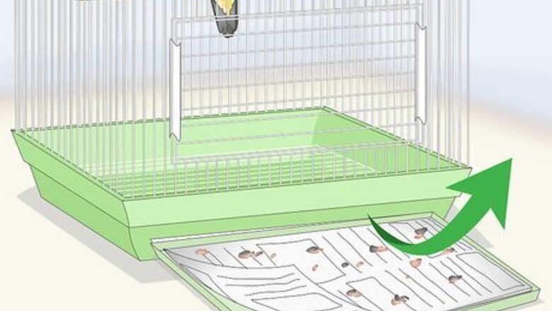 How to Clean a Caique Parrot Cage