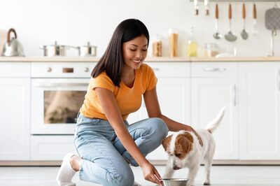 Avoid Feeding Your Pets These 'Human' Foods