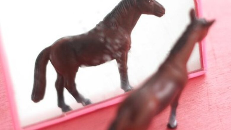 How to Behave Around a Horse