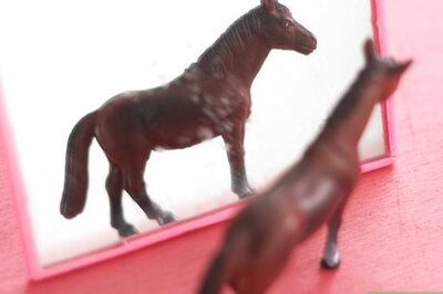 How to Behave Around a Horse