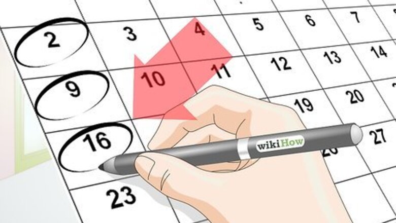 How to Clean Out a Guinea Pig's Hutch