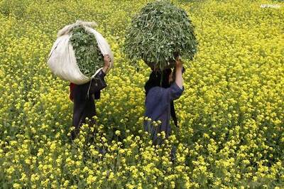 Controversial bill on J-K women held up