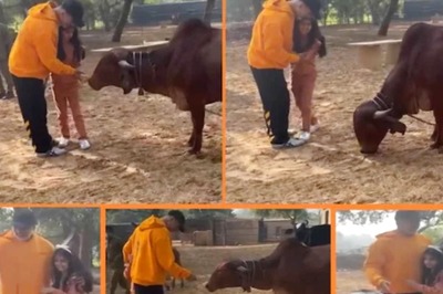 Watch: Akshay Kumar Shares Video With Daughter Nitara From Ranthambore Tiger Reserve