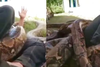 Is The Man Playing With A Giant Python? This Video Will Leave You Confused