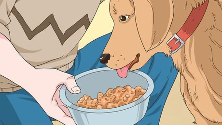 How to Reduce the Risk of Breeding Cleft Palate Puppies