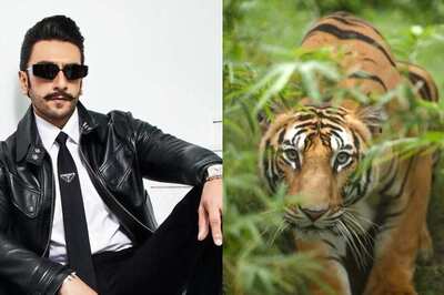 Ranveer Singh Lauds Anant Ambani for Vantara Initiative: 'A Watershed Moment in Animal Welfare'