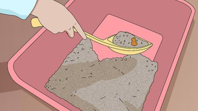 How to Keep Cats Away from Sandboxes