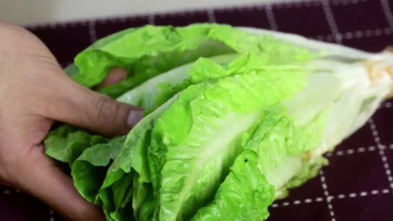 How to Keep Lettuce Crisp