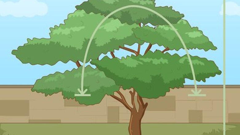 How to Prune a Tree