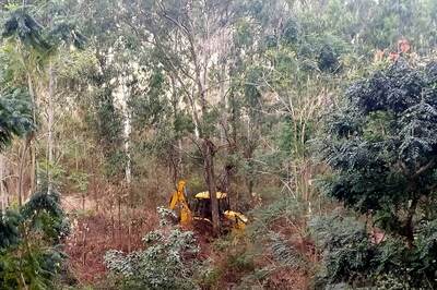 After Citizen Protests, Karnataka Govt Defers Decision to Build Tree Park in Bengaluru's Turahalli Forest