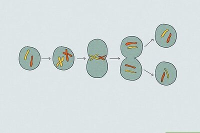 The 3 Pillars of Cell Theory and Their History