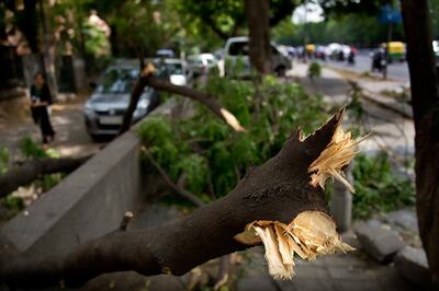 13 Killed in Rain-Related Incidents in Kerala in Two Days