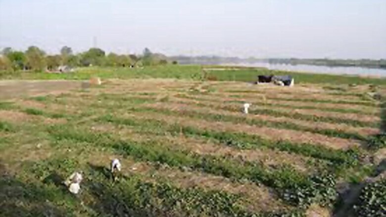 Allocate domestic natural gas to make fertiliser: FAI
