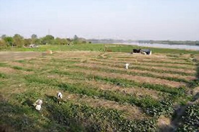 Allocate domestic natural gas to make fertiliser: FAI