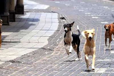 Two Families Assaulted Over Dogs In Separate Incidents In Navi Mumbai