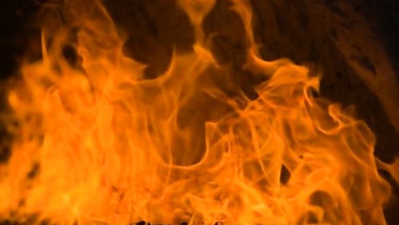 Gujarat: 5 self-immolate in Rajkot municipal office