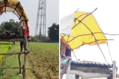 Andhra Farmers' Unique Solution To Protect Crops From Stray Animals