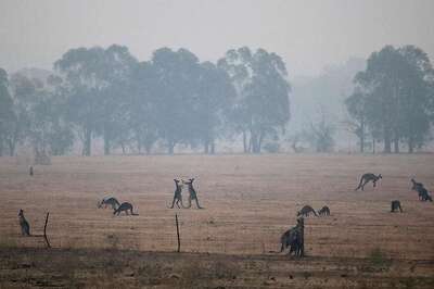 From Extreme Heat to Heavy Rain, 'Merry-go-round' Weather Poses New Risk for Fire-ravaged Australia