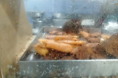 WATCH | Rat Runs Through Fritters at Chennai Hosp Canteen, Admin Blames it on Diwali Holiday