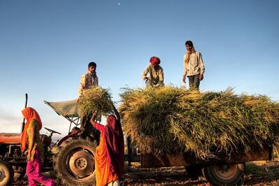 Not Guaranteed MSP, an Agriculture Export Policy Can Increase Farmers’ Income