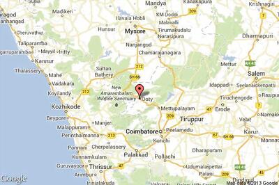 10 deer found dead in National park area of Udhagamandalam