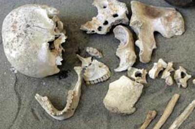 4,500-year-old skeleton of warrior found in Italy