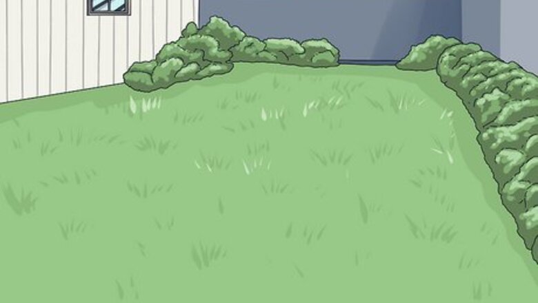 How to Know if You Can Care for a Rottweiler
