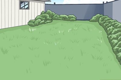 How to Know if You Can Care for a Rottweiler