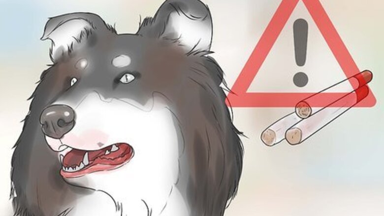 How to Prevent Dog Cancer
