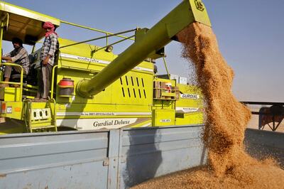 India Bans Wheat Export With Immediate Effect to Manage Rising Inflation; Know More