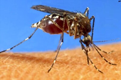 4,727 dengue cases in Delhi