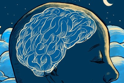 The Role Of Glucose In Influencing Your Brain