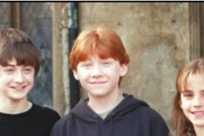 Harry Potter Stars, but Not JK Rowling, to Reunite for TV Special Releasing on Jan 1