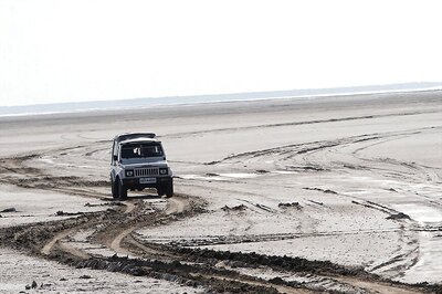 BSF Apprehends Two Pakistani Nationals, Three Boats Off Gujarat Coast