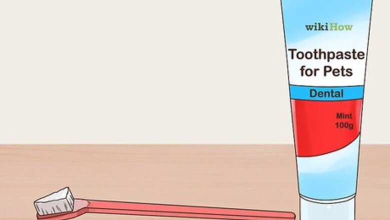 How to Clean a Ferret's Teeth