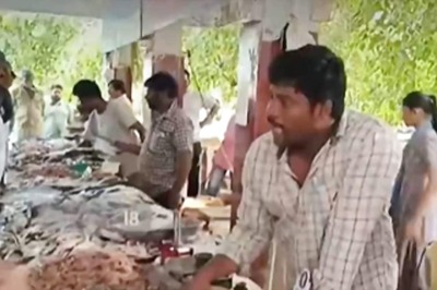 In Andhra Pradesh’s Kakinada, Massive Prawn Auctioned For Rs 2,000