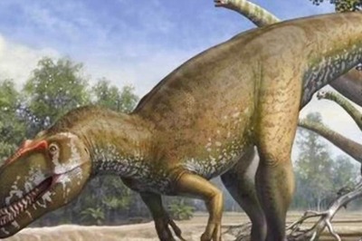 Discovery Of 237 Million Years Old Reptile Fossil Could Explain The Rise Of Dinosaurs