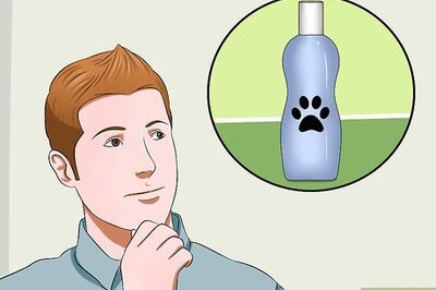 How to Bathe a Sphynx Cat