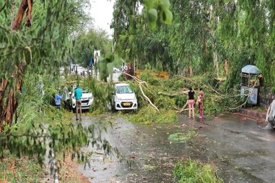 DND and Kalindi Kunj Roads Blocked after Rainfall in Delhi-NCR, Traffic Jams Witnessed